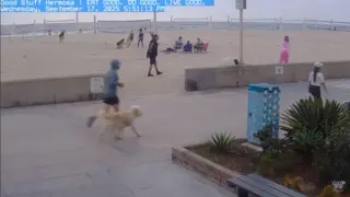 Hermosa Beach, CA thumbnail