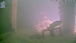 The Lower Keys FL thumbnail